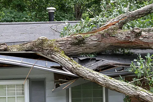 Tornado Damage Greenwood Indiana